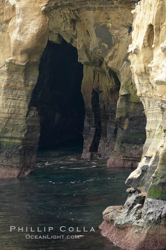 Sea cliffs and sea caves at sea level, made of sandstone and eroded by waves and tides. La Jolla, California, USA, natural history stock photograph, photo id 20128