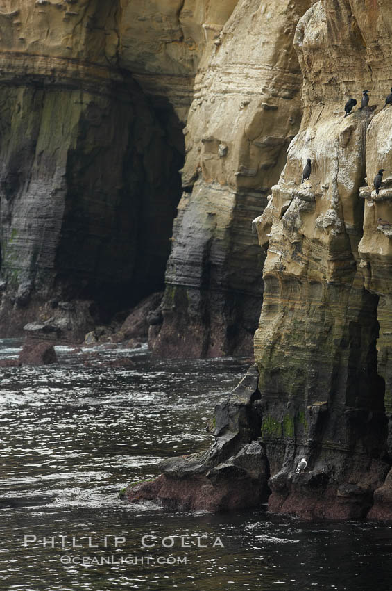 Sea cliffs and sea caves at sea level, made of sandstone and eroded by waves and tides. La Jolla, California, USA, natural history stock photograph, photo id 20127