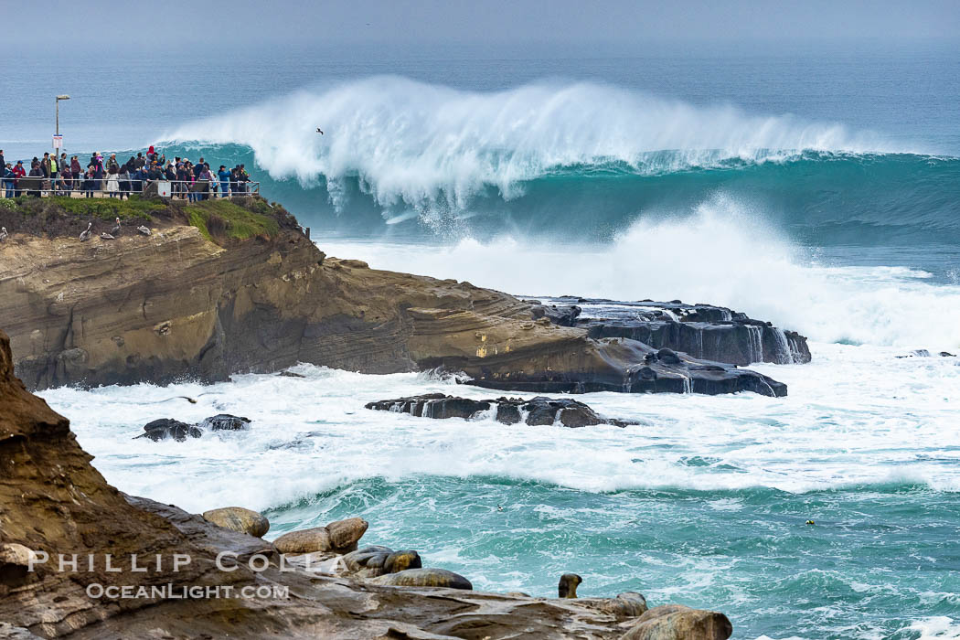 La Jolla Cove Big Surf, Saturday January 14 2023. California, USA, natural history stock photograph, photo id 38896