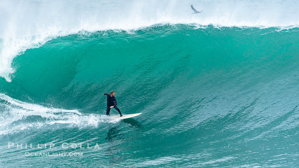 La Jolla Cove Big Surf, Saturday January 14 2023. California, USA, natural history stock photograph, photo id 38904