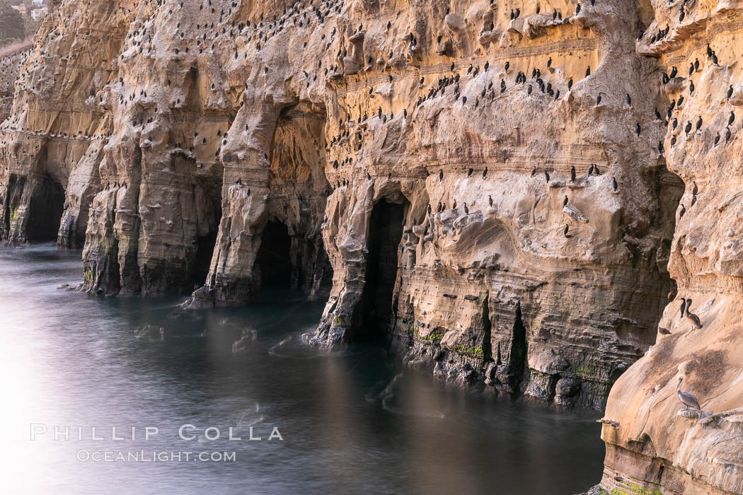 Sea Caves, the famous La Jolla sea caves lie below tall cliffs at Goldfish Point.  Sunny Jim Cave. Sunrise. California, USA, natural history stock photograph, photo id 37467