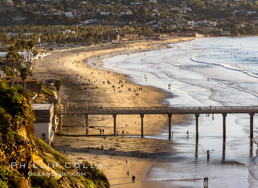 La Jolla Shores beach at sunset, Scripps Pier, viewed from Scripps Institution of Oceanography. California, USA, natural history stock photograph, photo id 37664