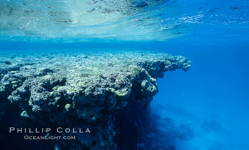 Lagoon pinnacles. Rose Atoll National Wildlife Sanctuary, American Samoa, USA, natural history stock photograph, photo id 00734