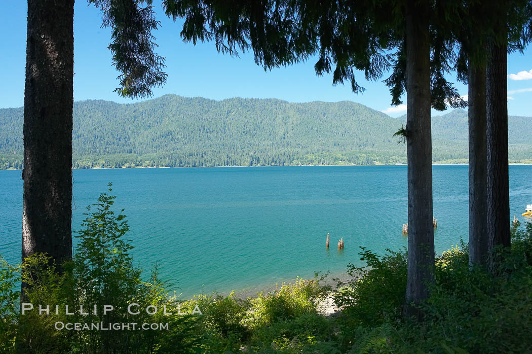 Lake Quinalt. Olympic National Park, Washington, USA, natural history stock photograph, photo id 13801