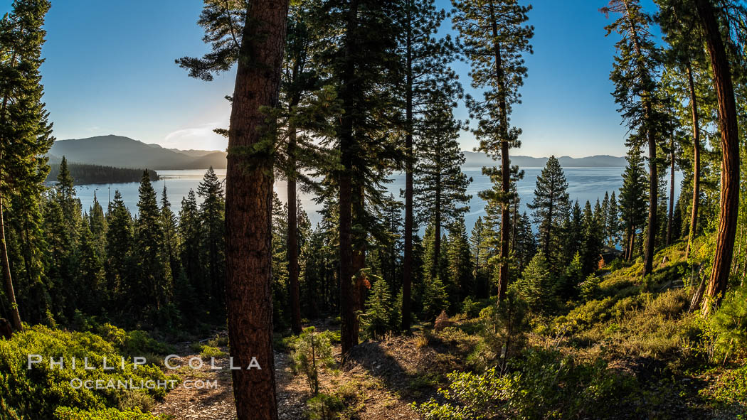 Lake Tahoe viewed through trees, Ridgewood., natural history stock photograph, photo id 36429