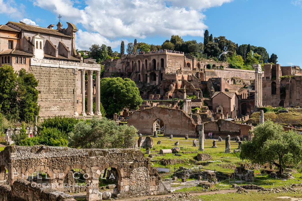 Largo Romolo e Remo, Forum, Rome. Italy, natural history stock photograph, photo id 35555