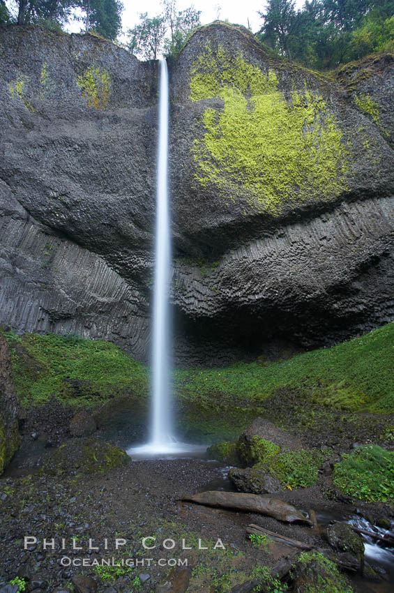 Latourelle Falls, in Guy W. Talbot State Park, drops 249 feet through a lush forest near the Columbia River. Columbia River Gorge National Scenic Area, Oregon, USA, natural history stock photograph, photo id 19352