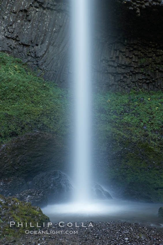 Latourelle Falls, in Guy W. Talbot State Park, drops 249 feet through a lush forest near the Columbia River. Columbia River Gorge National Scenic Area, Oregon, USA, natural history stock photograph, photo id 19347