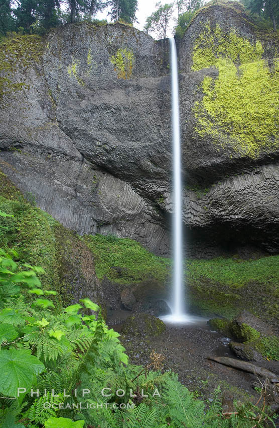 Latourelle Falls, in Guy W. Talbot State Park, drops 249 feet through a lush forest near the Columbia River. Columbia River Gorge National Scenic Area, Oregon, USA, natural history stock photograph, photo id 19353