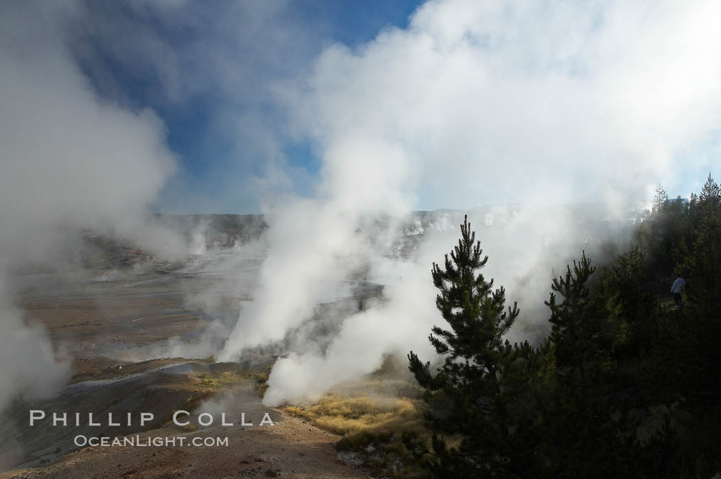 Ledge Geyser, vents releasing steam, in the Porcelain Basin area of Norris Geyser Basin. Yellowstone National Park, Wyoming, USA, natural history stock photograph, photo id 13481