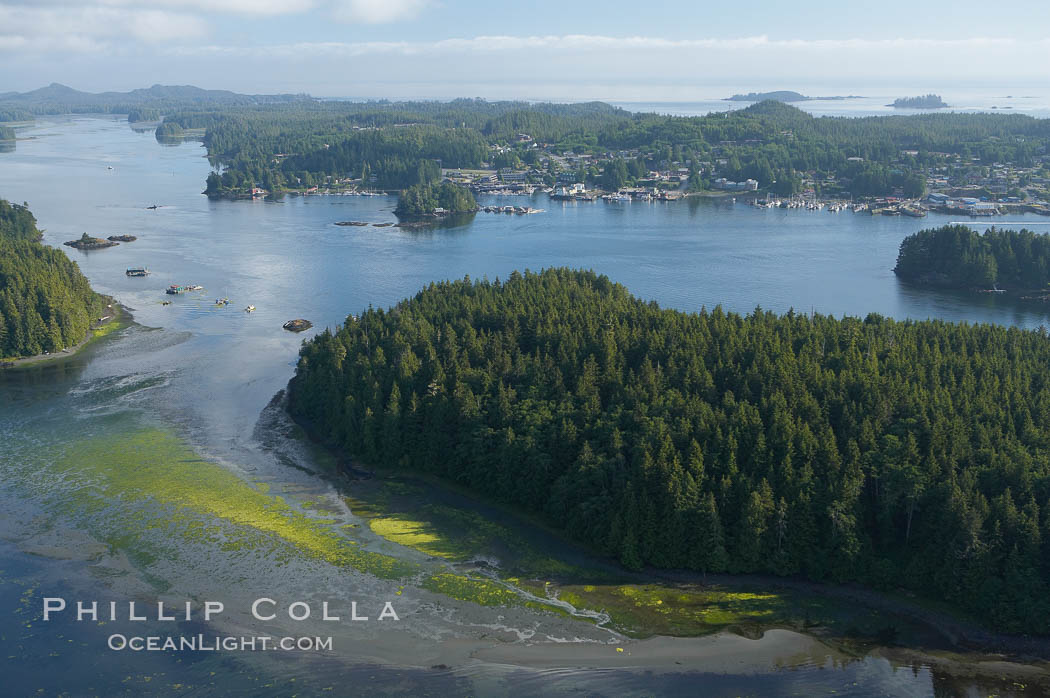 Lemmens Inlet viewed from Meares Island, with Tofino in the distance, aerial photo, on the west coast of Vancouver Island. British Columbia, Canada, natural history stock photograph, photo id 21127