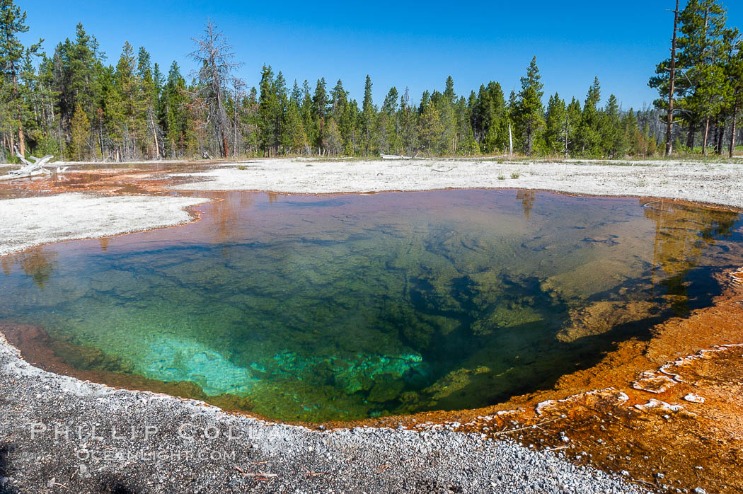 Lemon Spring along Firehole Lake Drive. Lower Geyser Basin, Yellowstone National Park, Wyoming, USA, natural history stock photograph, photo id 07245