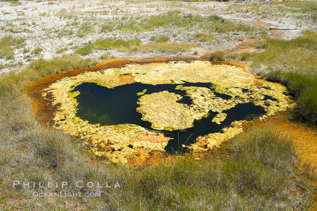 Liberty Pool. Upper Geyser Basin, Yellowstone National Park, Wyoming, USA, natural history stock photograph, photo id 13360