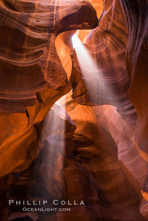 Light Beam in Upper Antelope Slot Canyon.  Thin shafts of light briefly penetrate the convoluted narrows of Upper Antelope Slot Canyon, sending piercing beams through the sandstone maze to the sand floor below. Navajo Tribal Lands, Page, Arizona, USA, natural history stock photograph, photo id 28563