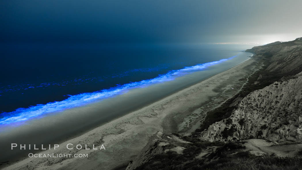 Lingulodinium polyedrum red tide dinoflagellate plankton, glows blue when it is agitated in wave and is visible at night. La Jolla, California, USA, Lingulodinium polyedrum, natural history stock photograph, photo id 27062