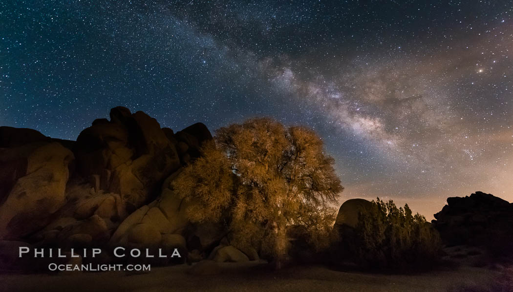 Live Oak and Milky Way, rocks and stars, Joshua Tree National Park at night. California, USA, natural history stock photograph, photo id 28420