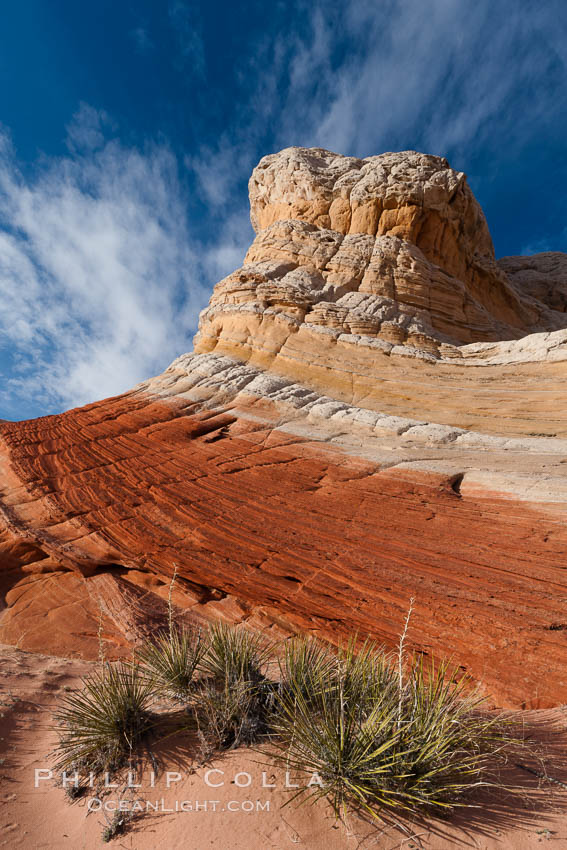 Brilliant red striations around the base of this pinnacle are responsible for its name: the Lollipop. White Pocket, Vermillion Cliffs National Monument, Arizona, USA, natural history stock photograph, photo id 26607