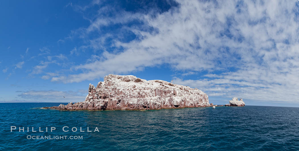 Los Islotes Island, Espiritu Santo-complex Biosphere Reserve, Sea of Cortez, Baja California, Mexico., natural history stock photograph, photo id 27360
