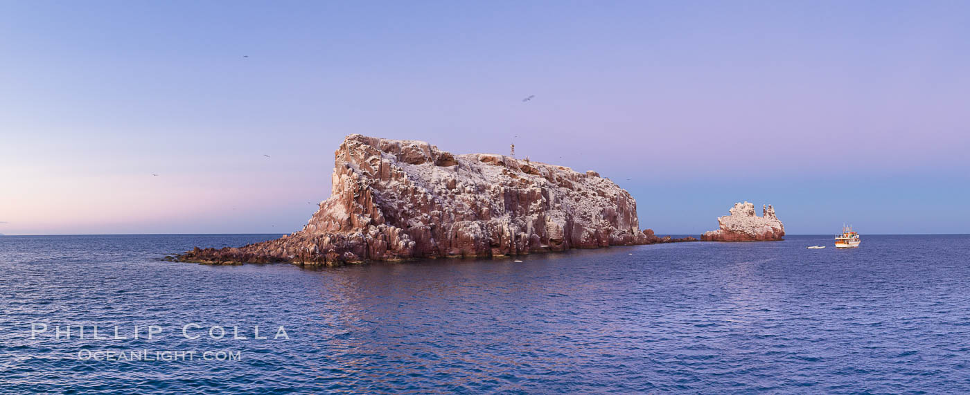 Los Islotes Island, Espiritu Santo-complex Biosphere Reserve, Sea of Cortez, Baja California, Mexico., natural history stock photograph, photo id 27363