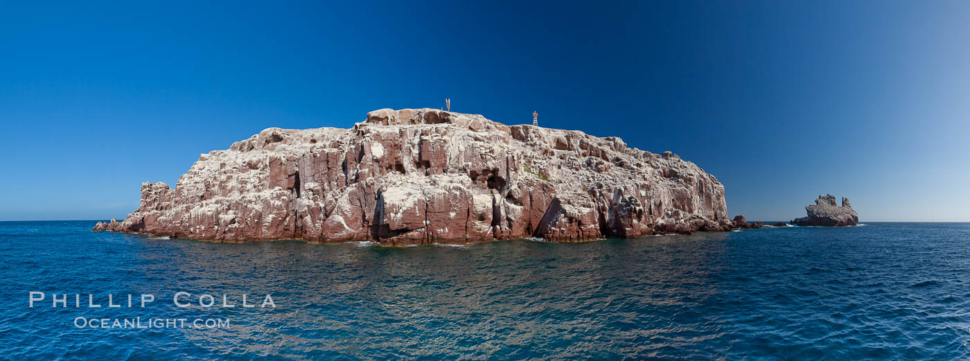 Los Islotes Island, Espiritu Santo-complex Biosphere Reserve, Sea of Cortez, Baja California, Mexico., natural history stock photograph, photo id 27365