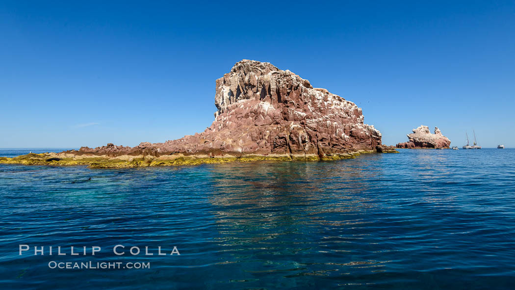Los Islotes, West End, Sea of Cortez. Baja California, Mexico, natural history stock photograph, photo id 32395