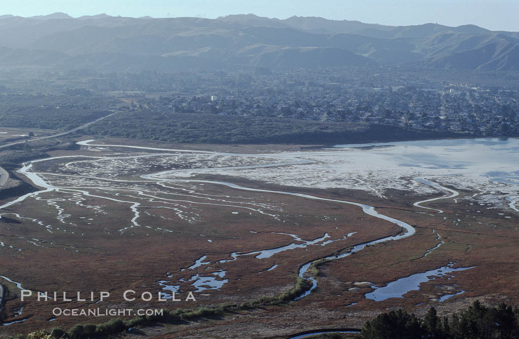 Los Osos tidelands south of Morro Bay. California, USA, natural history stock photograph, photo id 06446