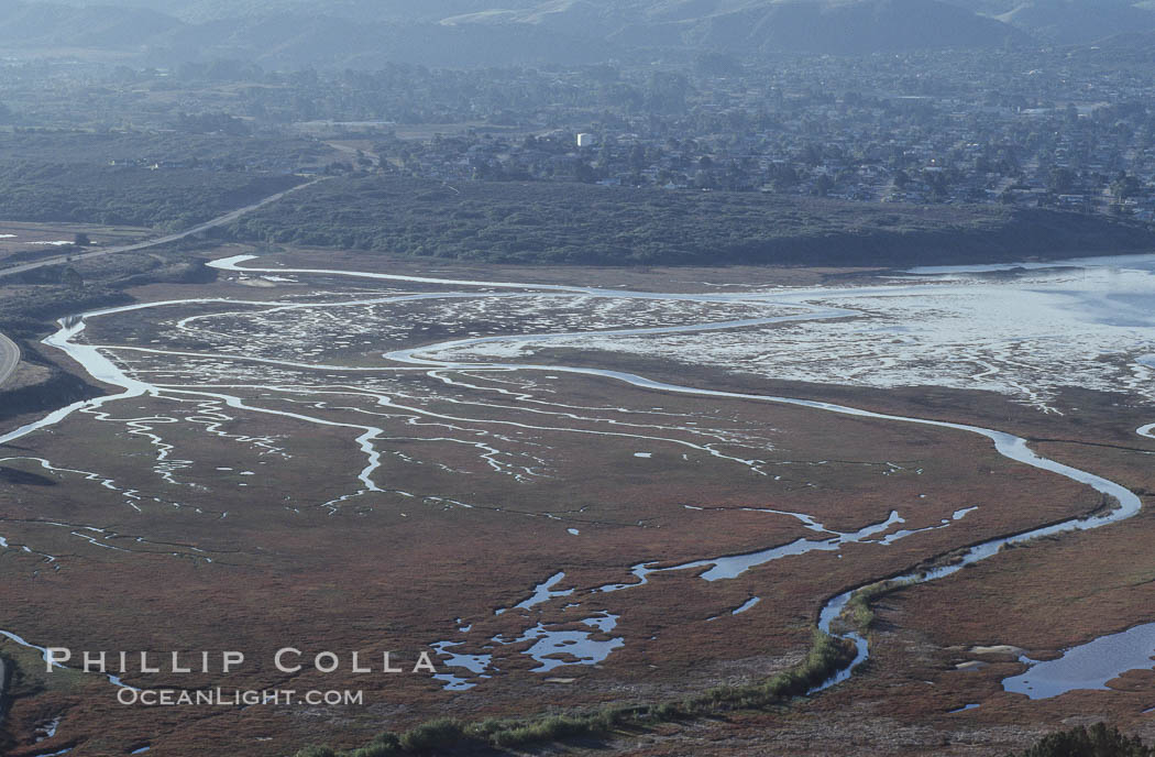 Los Osos tidelands south of Morro Bay. California, USA, natural history stock photograph, photo id 06447