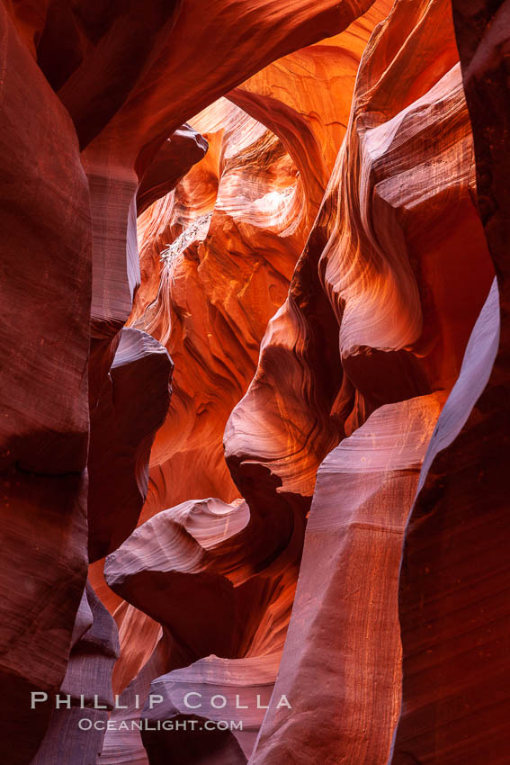 Lower Antelope Canyon, a deep, narrow and spectacular slot canyon lying on Navajo Tribal lands near Page, Arizona. Navajo Tribal Lands, USA, natural history stock photograph, photo id 26650