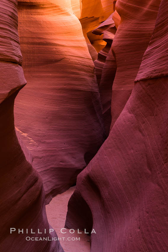 Lower Antelope Canyon, a deep, narrow and spectacular slot canyon lying on Navajo Tribal lands near Page, Arizona. Navajo Tribal Lands, USA, natural history stock photograph, photo id 28556