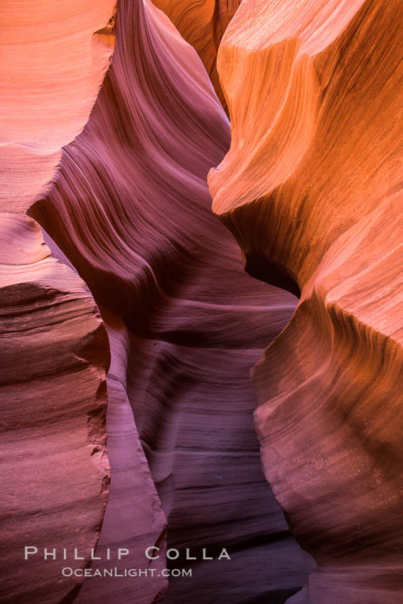 Lower Antelope Canyon, a deep, narrow and spectacular slot canyon lying on Navajo Tribal lands near Page, Arizona. Navajo Tribal Lands, USA, natural history stock photograph, photo id 28560