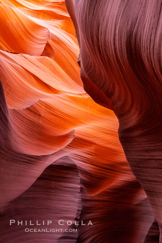 Lower Antelope Canyon, a deep, narrow and spectacular slot canyon lying on Navajo Tribal lands near Page, Arizona. Navajo Tribal Lands, USA, natural history stock photograph, photo id 26615