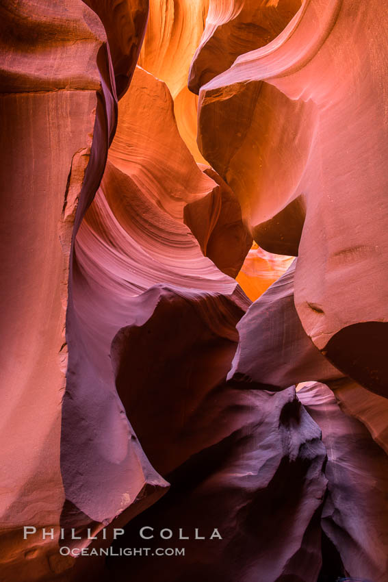 Lower Antelope Canyon, a deep, narrow and spectacular slot canyon lying on Navajo Tribal lands near Page, Arizona. Navajo Tribal Lands, USA, natural history stock photograph, photo id 28559