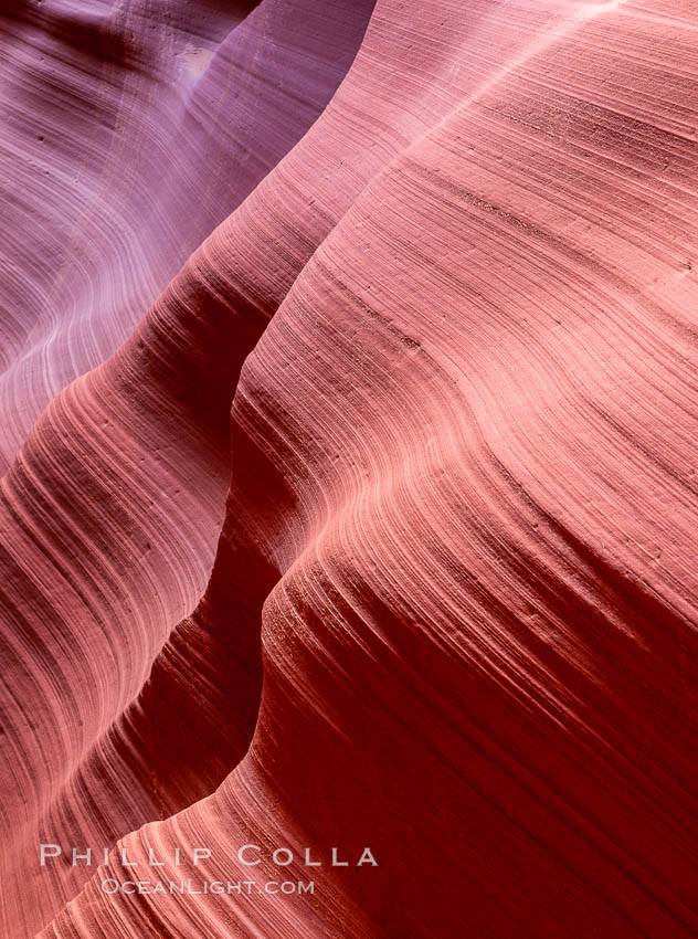 Lower Antelope Canyon, a deep, narrow and spectacular slot canyon lying on Navajo Tribal lands near Page, Arizona. Navajo Tribal Lands, USA, natural history stock photograph, photo id 26649