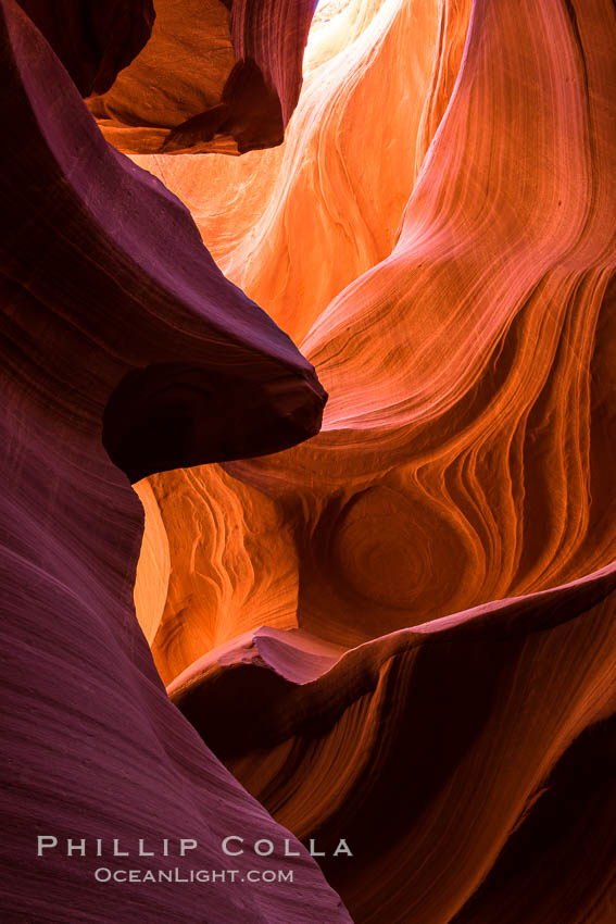 Lower Antelope Canyon, a deep, narrow and spectacular slot canyon lying on Navajo Tribal lands near Page, Arizona. Navajo Tribal Lands, USA, natural history stock photograph, photo id 28557