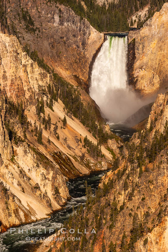 Lower Falls of the Yellowstone River. At 308 feet, the Lower Falls of the Yellowstone River is the tallest fall in the park. This view is from the famous and popular Artist Point on the south side of the Grand Canyon of the Yellowstone. Yellowstone National Park, Wyoming, USA, natural history stock photograph, photo id 07771