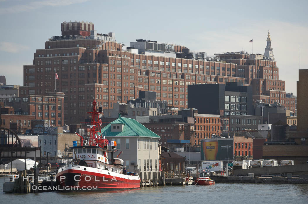 Manhattan waterline. New York City, USA, natural history stock photograph, photo id 11104