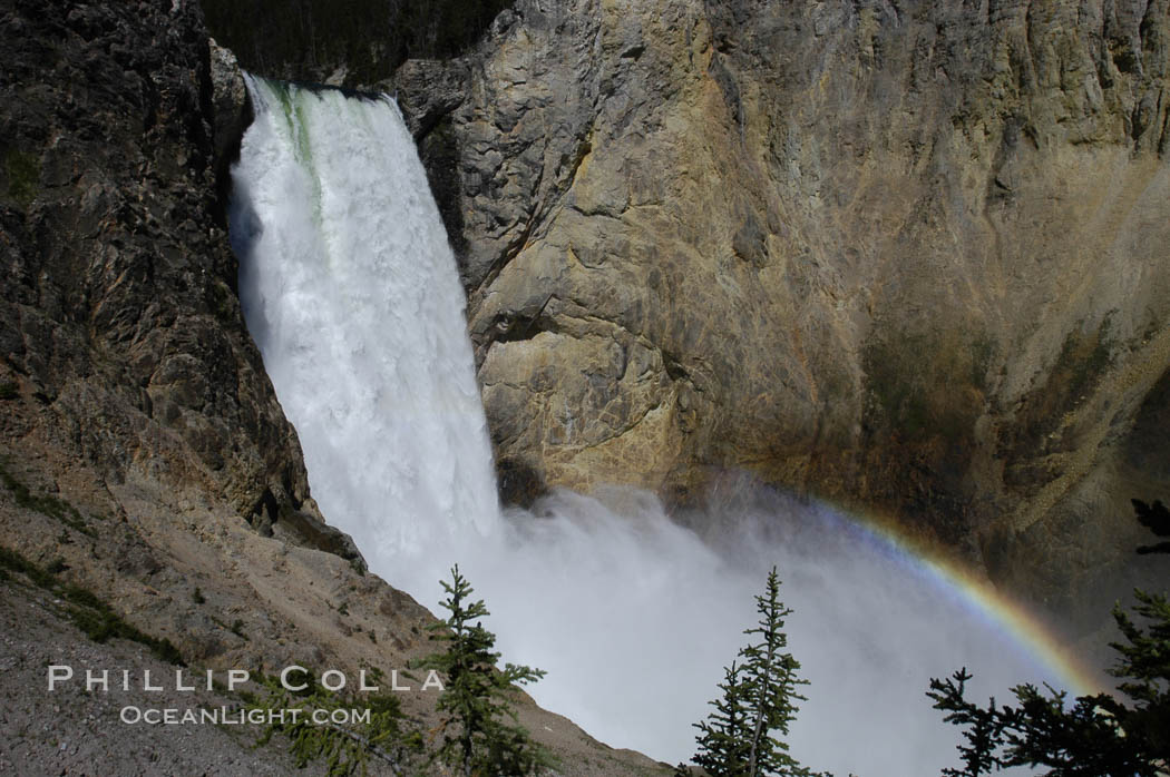 Lower Yellowstone Falls and rainbow viewed from Uncle Toms Trail. Grand Canyon of the Yellowstone, Yellowstone National Park, Wyoming, USA, natural history stock photograph, photo id 07362