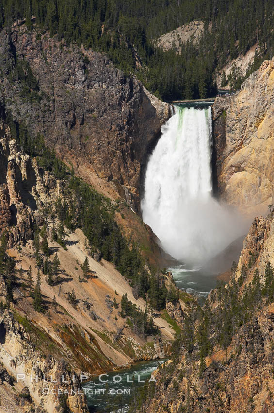 The Lower Falls of the Yellowstone River drops 308 feet at the head of the Grand Canyon of the Yellowstone. The canyon is approximately 10,000 years old, 20 miles long, 1000 ft deep, and 2500 ft wide. Its yellow, orange and red-colored walls are due to oxidation of the various iron compounds in the soil, and to a lesser degree, sulfur content., natural history stock photograph, photo id 13342