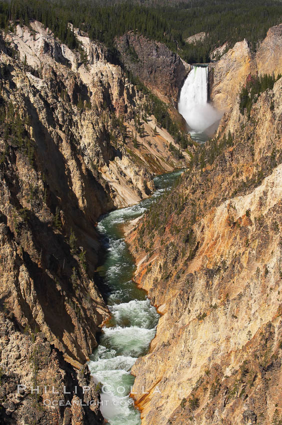The Lower Falls of the Yellowstone River drops 308 feet at the head of the Grand Canyon of the Yellowstone. The canyon is approximately 10,000 years old, 20 miles long, 1000 ft deep, and 2500 ft wide. Its yellow, orange and red-colored walls are due to oxidation of the various iron compounds in the soil, and to a lesser degree, sulfur content. Yellowstone National Park, Wyoming, USA, natural history stock photograph, photo id 13340