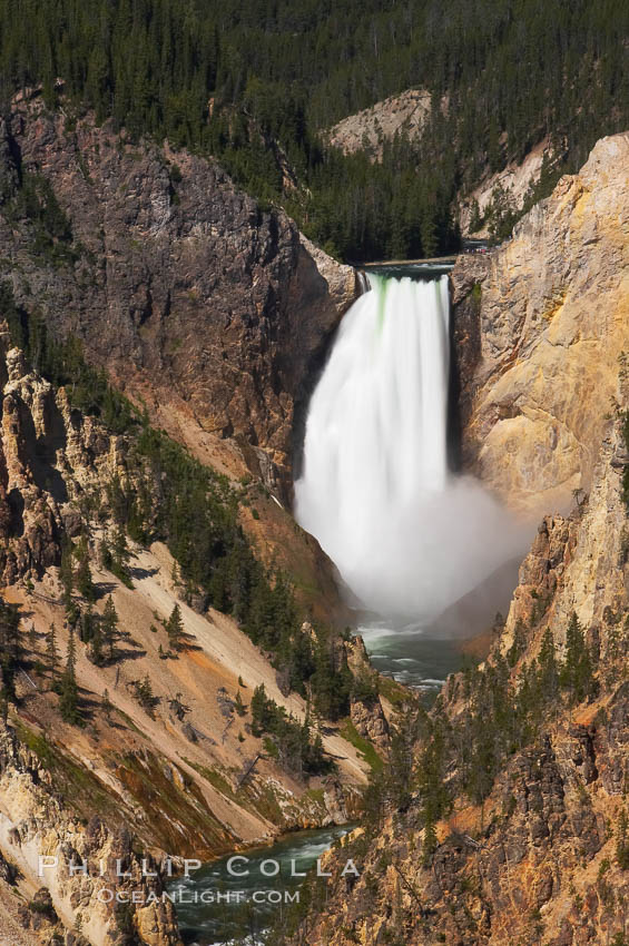 The Lower Falls of the Yellowstone River drops 308 feet at the head of the Grand Canyon of the Yellowstone. A long exposure blurs the fast-flowing water.  The canyon is approximately 10,000 years old, 20 miles long, 1000 ft deep, and 2500 ft wide. Its yellow, orange and red-colored walls are due to oxidation of the various iron compounds in the soil, and to a lesser degree, sulfur content. Yellowstone National Park, Wyoming, USA, natural history stock photograph, photo id 13343