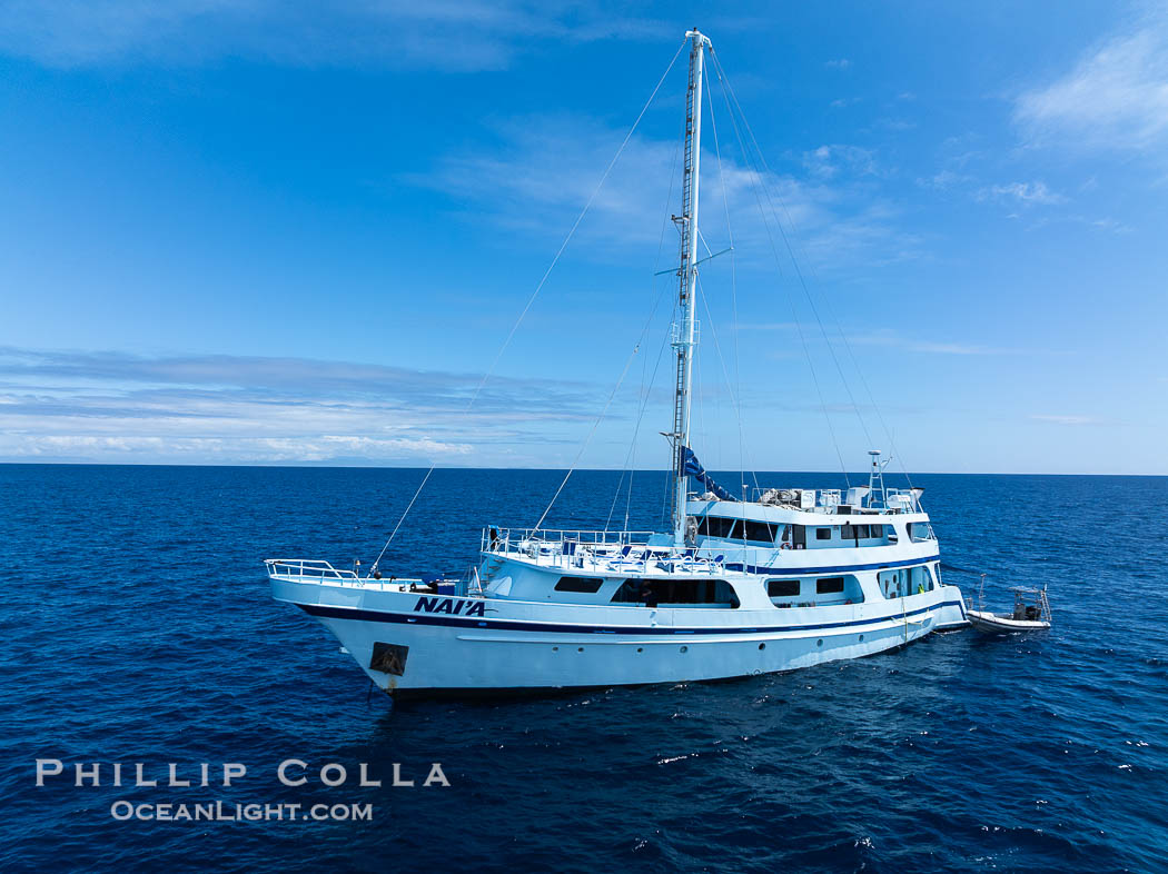 M/V Naia, Fiji., natural history stock photograph, photo id 41147