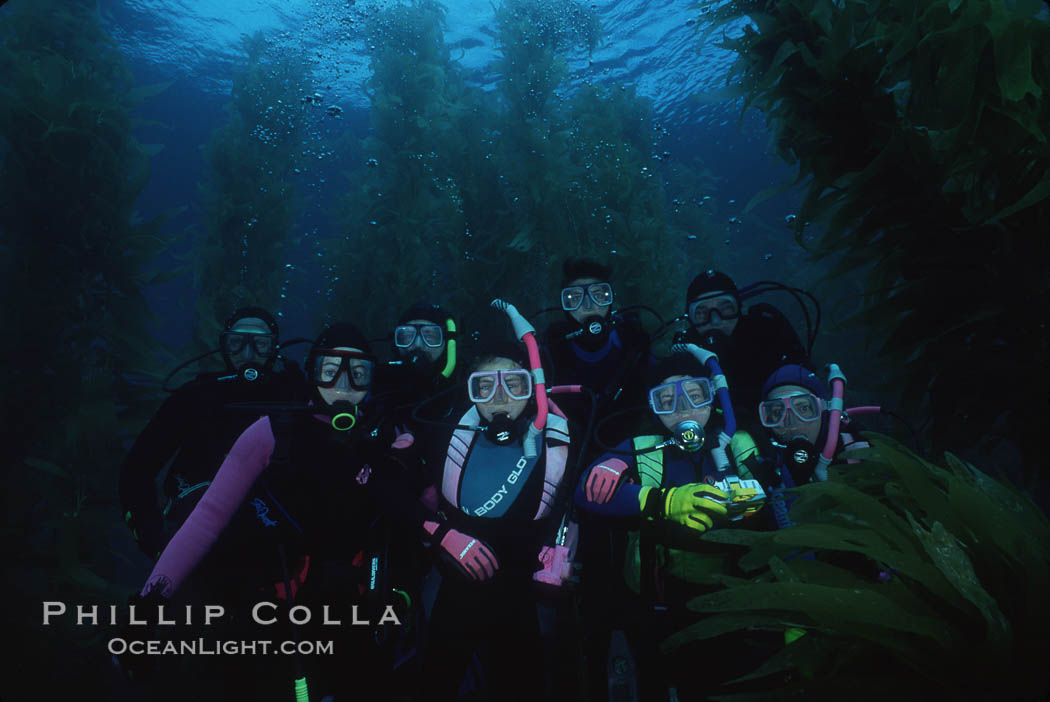 Divers and kelp forest. San Clemente Island, California, USA, Macrocystis pyrifera, natural history stock photograph, photo id 02993