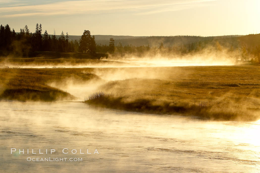 Madison River steaming in the cold air, sunrise, autumn, tall grasses and golden light. Yellowstone National Park, Wyoming, USA, natural history stock photograph, photo id 19591