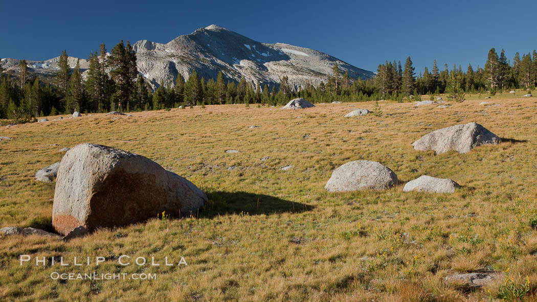 Mammoth Peak (12,117') rises above grassy meadows and granite boulders near Tioga Pass. Yosemite National Park, California, USA, natural history stock photograph, photo id 25786