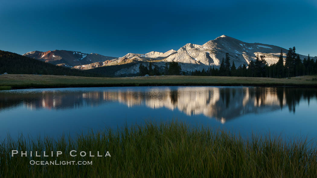 Mammoth Peak (12,117') reflected in small tarn pond at sunrise, viewed from meadows near Tioga Pass. Yosemite National Park, California, USA, natural history stock photograph, photo id 25773