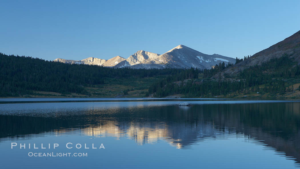 Mammoth Peak rises above a placid Tioga Lake, at sunrise. Yosemite National Park, California, USA, natural history stock photograph, photo id 23290