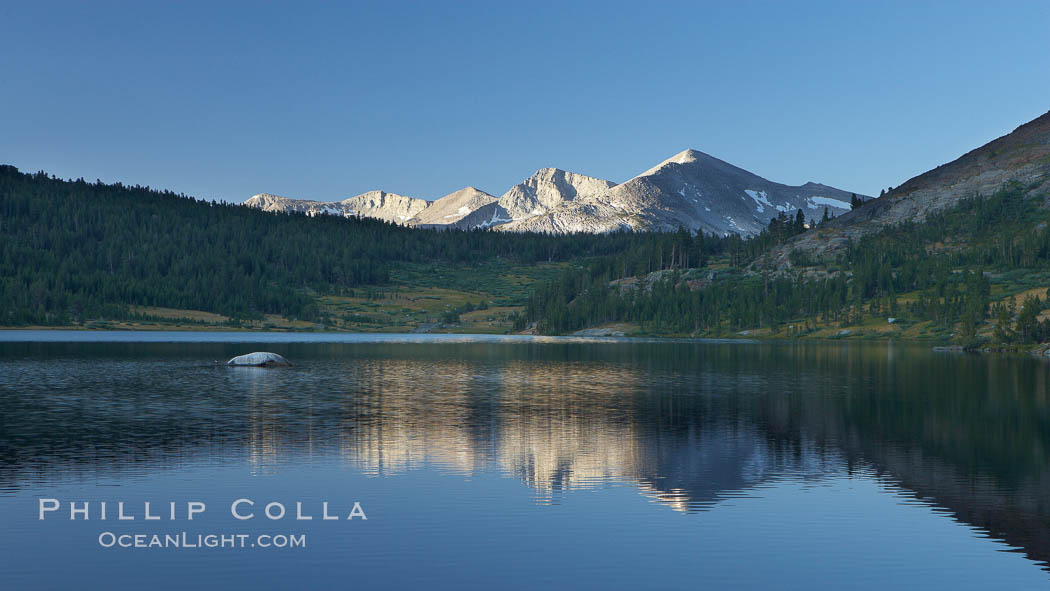 Mammoth Peak rises above a placid Tioga Lake, at sunrise. Yosemite National Park, California, USA, natural history stock photograph, photo id 23268