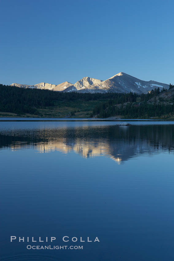 Mammoth Peak rises above a placid Tioga Lake, at sunrise. Yosemite National Park, California, USA, natural history stock photograph, photo id 23291