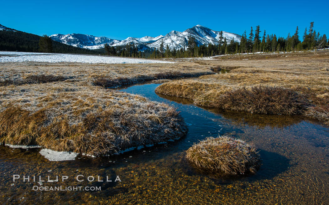 Mammoth Peak over Tuolumne Meadows, Tioga Pass, Yosemite National Park. California, USA, natural history stock photograph, photo id 28510