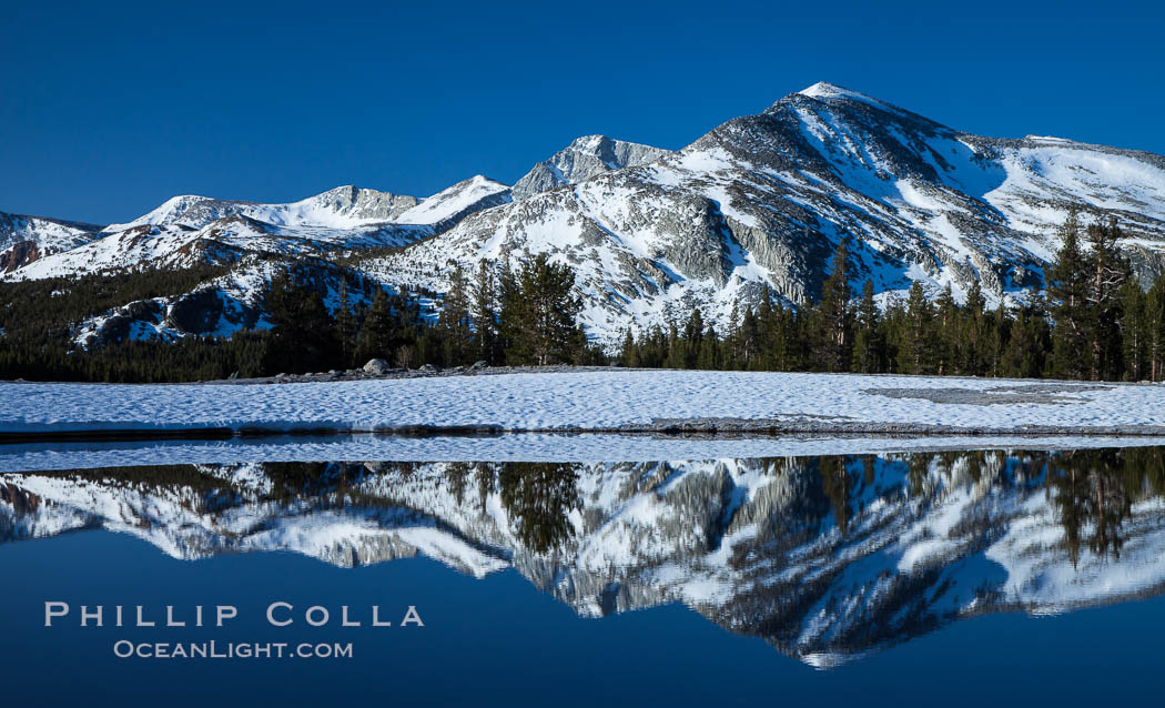 Mammoth Peak over Tuolumne Meadows, Tioga Pass, Yosemite National Park. California, USA, natural history stock photograph, photo id 28514